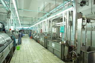 Washing Factory